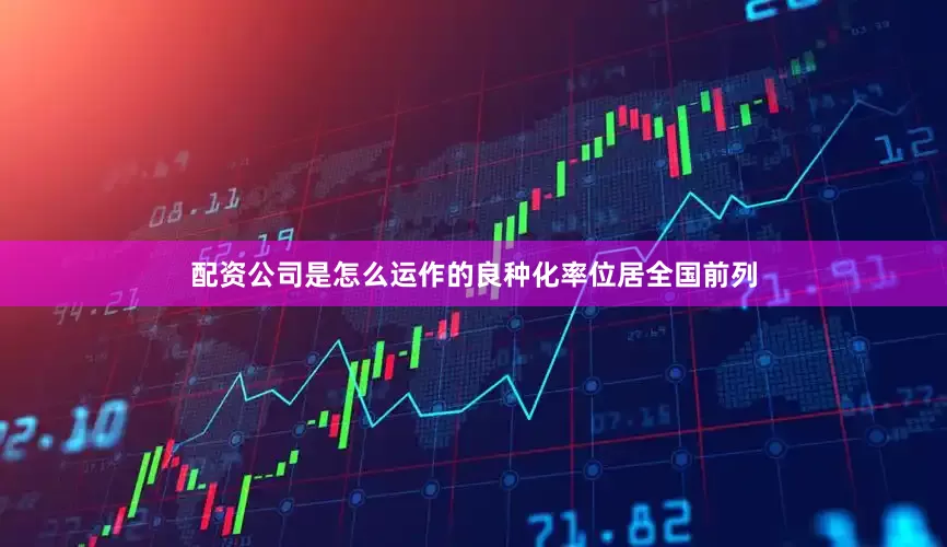 配资公司是怎么运作的良种化率位居全国前列