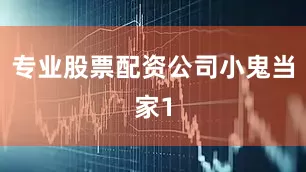 专业股票配资公司小鬼当家1